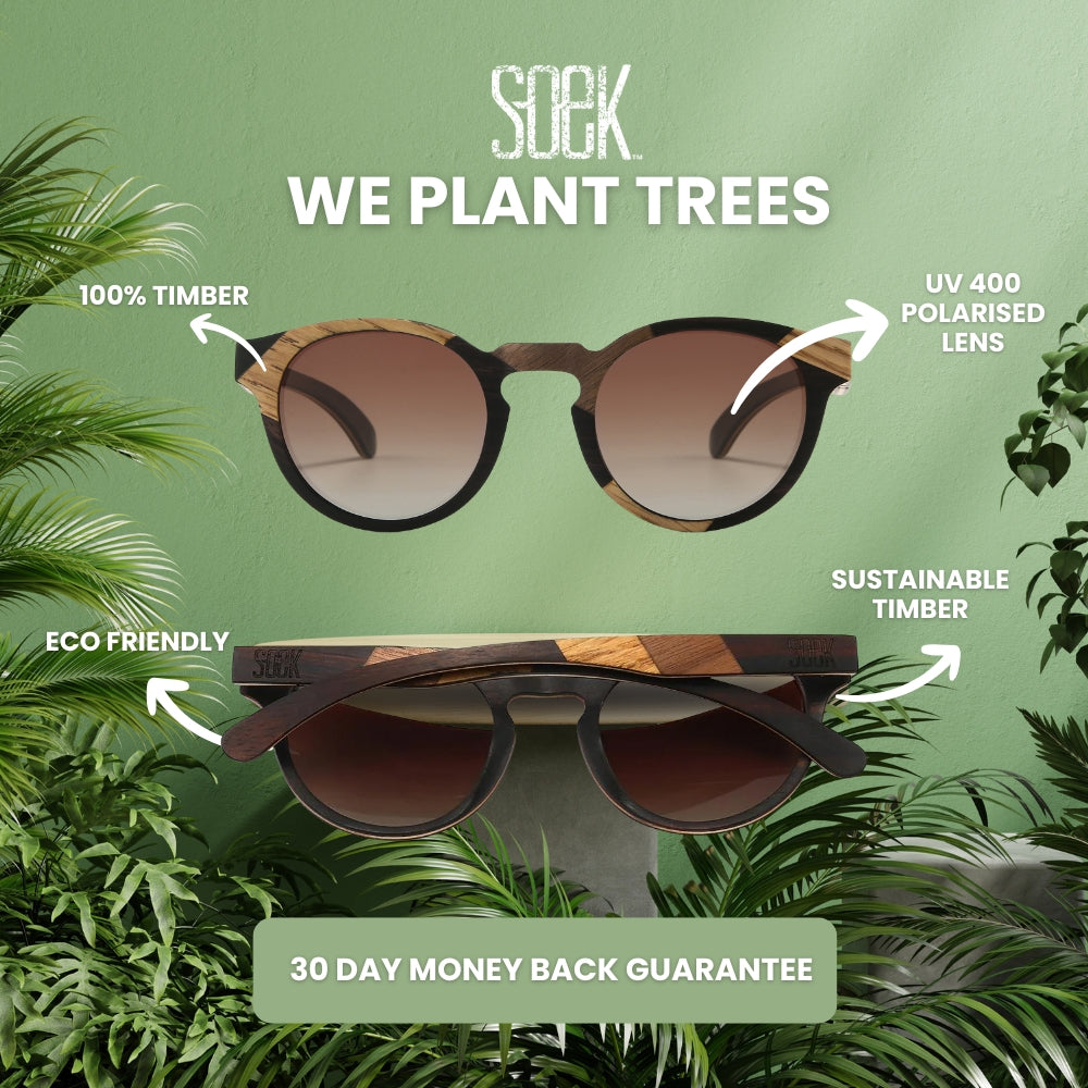 WANDERER l Oak wood Sunglasses l Black Polarised Lens