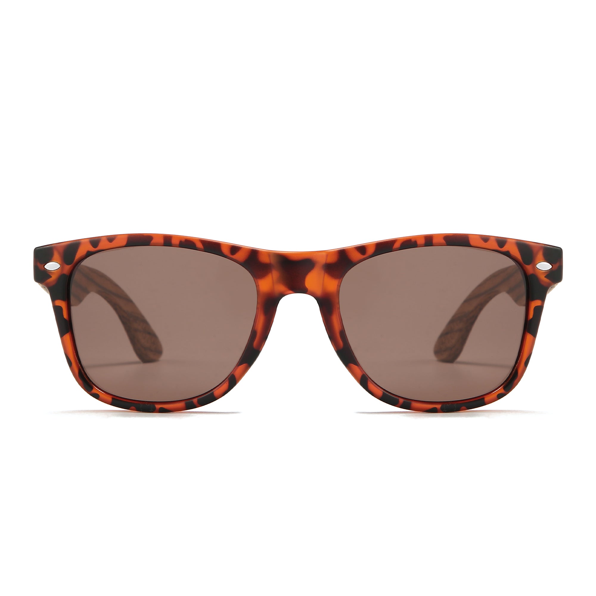 AVOCA WALNUT l Tortoise l Polarised Lenses l Walnut Arms