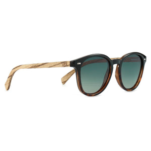 TAINE BLACK TORT Khaki Lens l Walnut Arms - Soek Fashion Eyewear South Africa